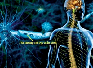 Các triệu chứng bệnh rối loạn thần kinh thực vật bạn không nên chủ quan